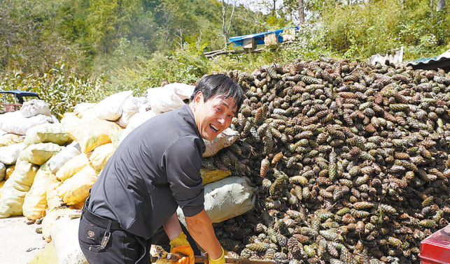 小松子成富民產(chǎn)業(yè)