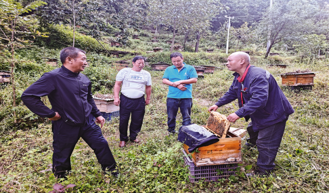 家園美了,日子甜了
